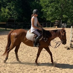 Meet your Posher, Cameron